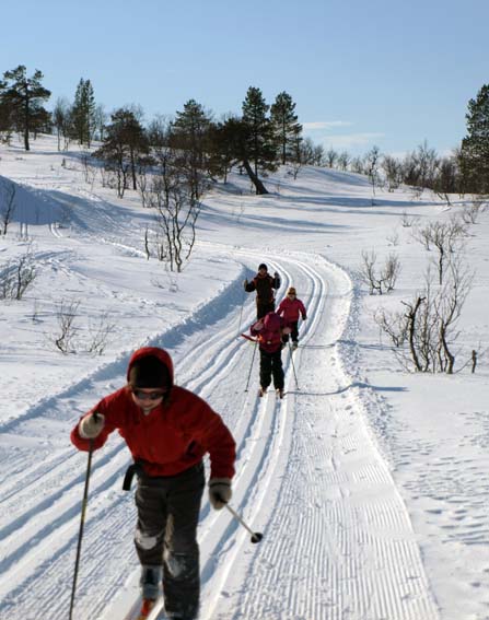 Jentejengen p tur ned av fjellet...